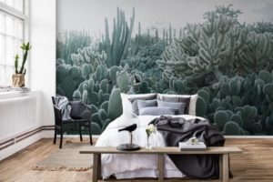 cactus-behang