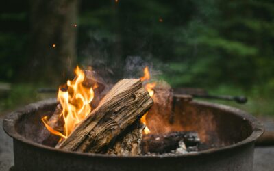 Tips voor het juiste vochtgehalte van brandhout