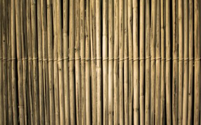 Ontdek de voordelen van bamboe jaloezieën